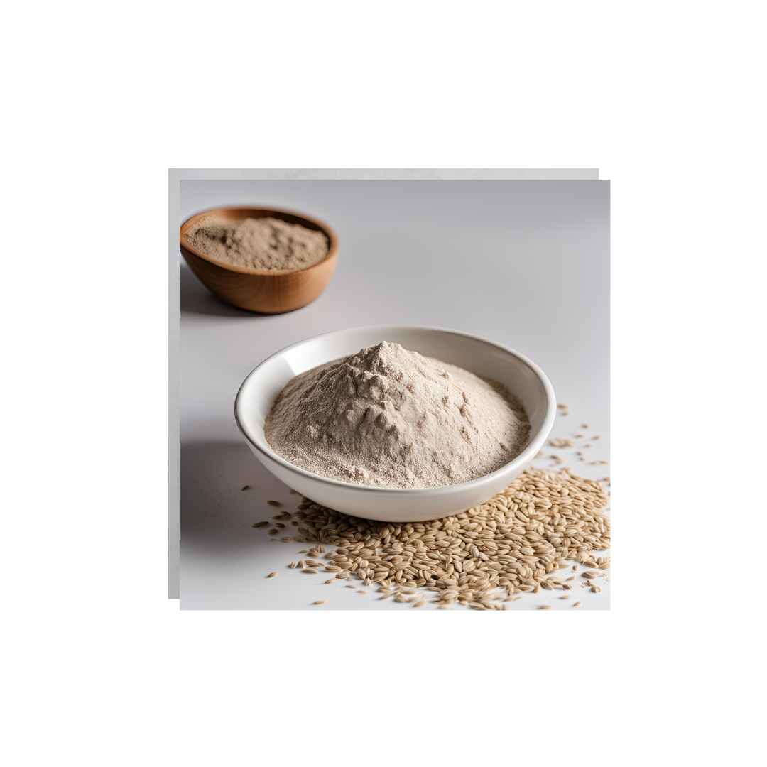 Organic Whole Rye Flour